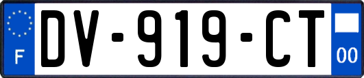 DV-919-CT