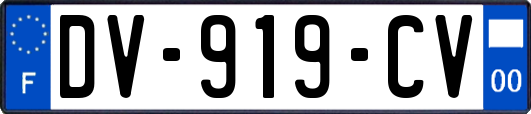 DV-919-CV