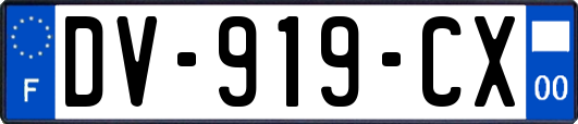 DV-919-CX