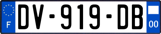 DV-919-DB