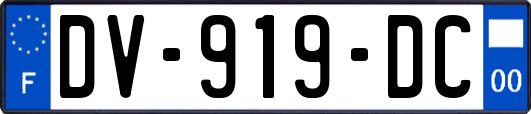 DV-919-DC