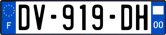 DV-919-DH