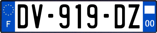 DV-919-DZ