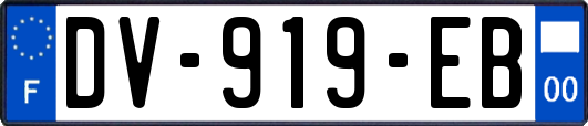 DV-919-EB