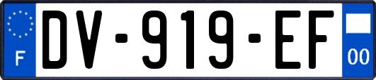 DV-919-EF