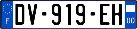 DV-919-EH