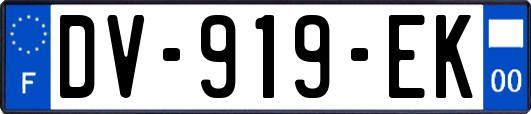 DV-919-EK