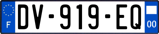 DV-919-EQ