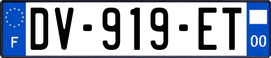 DV-919-ET