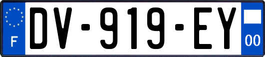 DV-919-EY