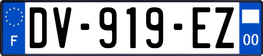 DV-919-EZ