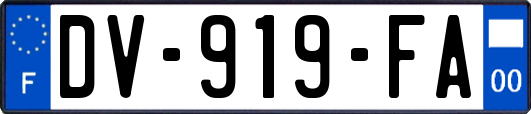 DV-919-FA