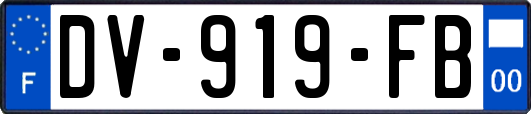 DV-919-FB