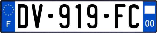 DV-919-FC