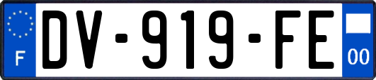 DV-919-FE