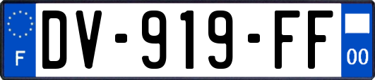 DV-919-FF