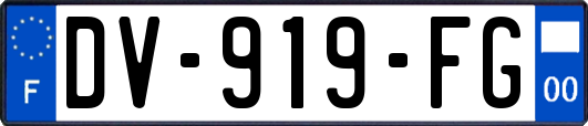 DV-919-FG