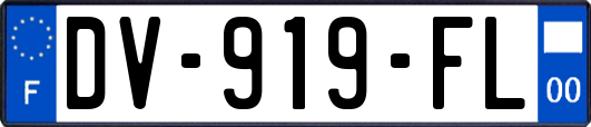 DV-919-FL