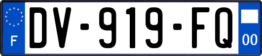 DV-919-FQ