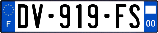 DV-919-FS