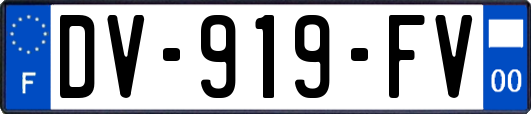 DV-919-FV