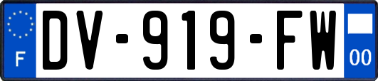 DV-919-FW