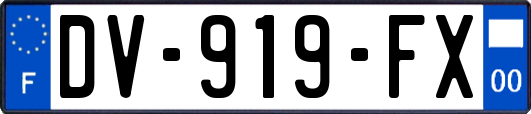 DV-919-FX