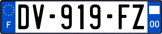 DV-919-FZ