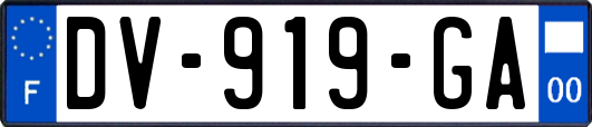 DV-919-GA