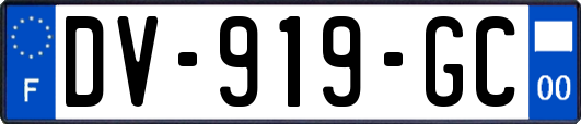 DV-919-GC