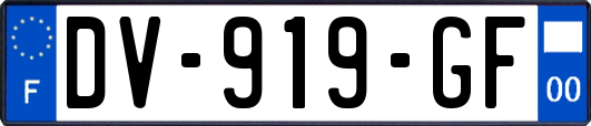 DV-919-GF