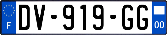 DV-919-GG