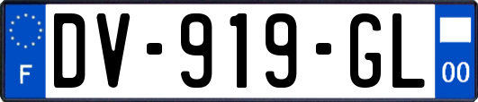 DV-919-GL