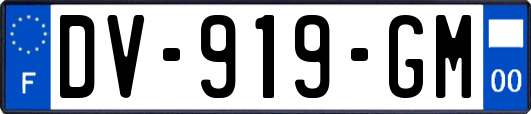 DV-919-GM