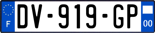 DV-919-GP