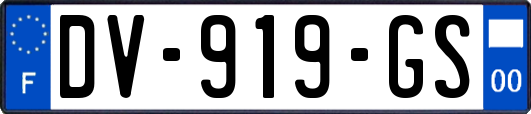 DV-919-GS