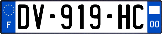 DV-919-HC