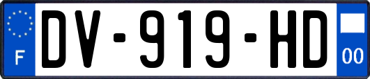 DV-919-HD