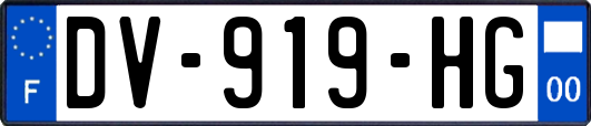 DV-919-HG