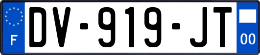 DV-919-JT