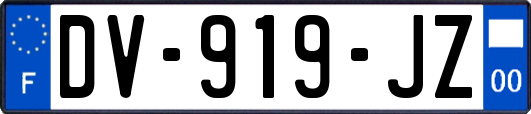 DV-919-JZ