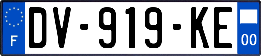 DV-919-KE