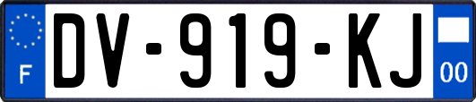 DV-919-KJ