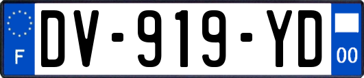 DV-919-YD