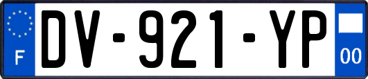 DV-921-YP