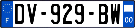 DV-929-BW