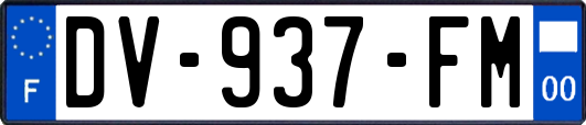 DV-937-FM