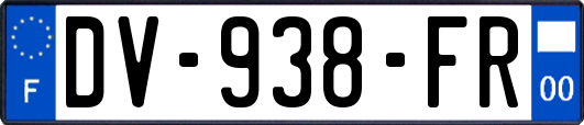 DV-938-FR