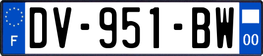 DV-951-BW