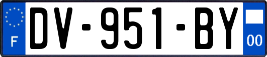 DV-951-BY